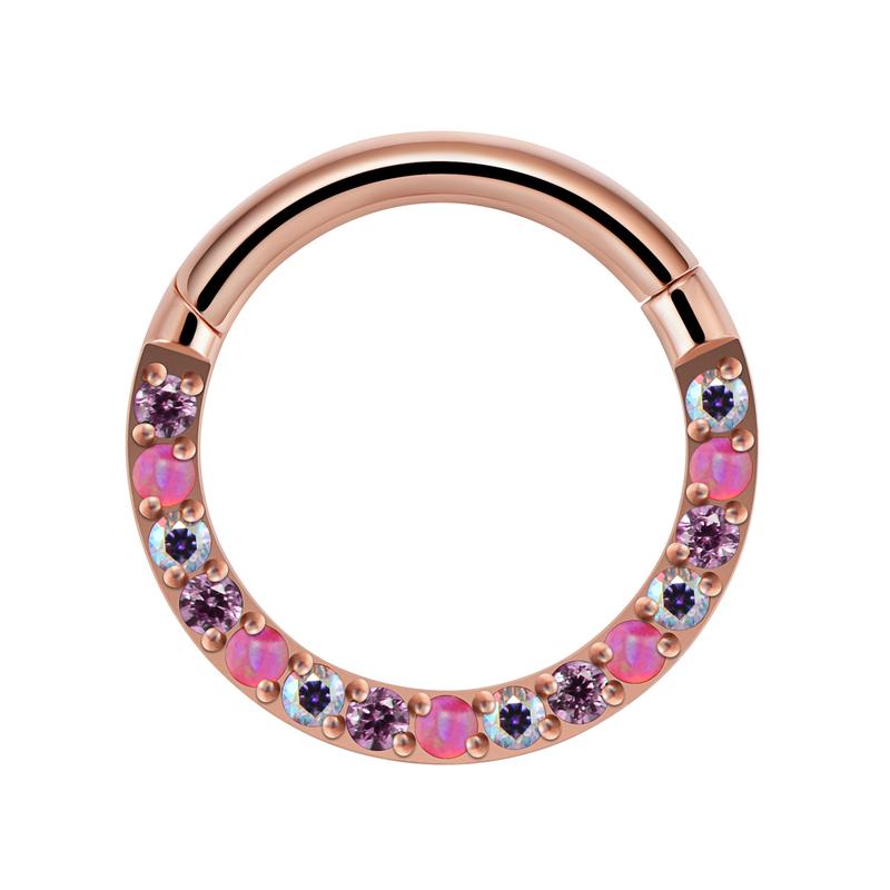 Titanium Front Facing Gems Hinged Septum Ring